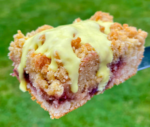 Jam Roly Poly & Custard Crumb Cake